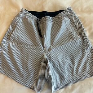 Birddogs Navy White Striped Shorts